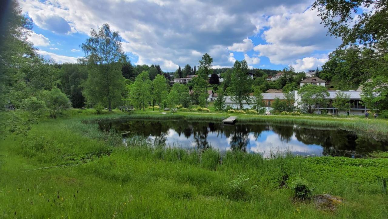 Ferienwohnung Grenzenblick Bayerisch Eisenstein Zewnętrze zdjęcie